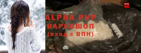 индика Козельск