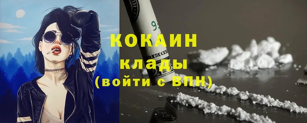 меф Дмитриев