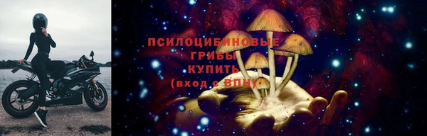 меф Дмитриев