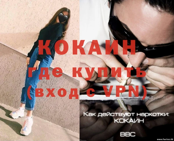 меф Дмитриев