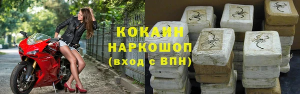меф Дмитриев