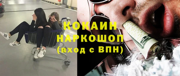 шишки Мегион