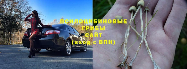 ешки Дмитров