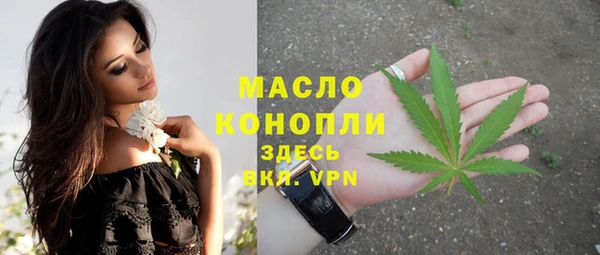 меф Дмитриев