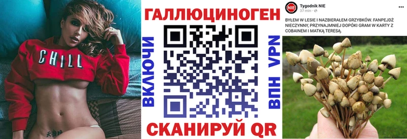 купить   Старица  Псилоцибиновые грибы прущие грибы 